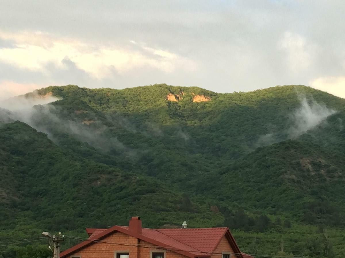 Tsitelsopeli Aragvi Valley 빌라 외부 사진